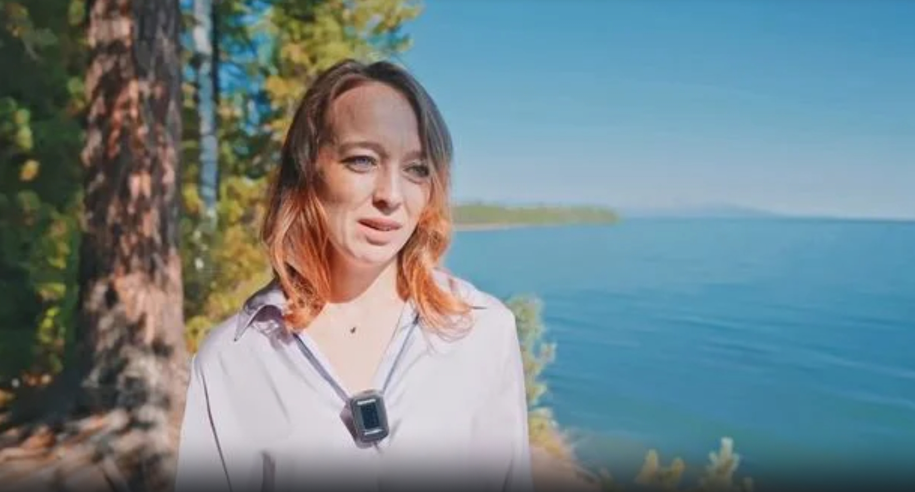 Главная страница