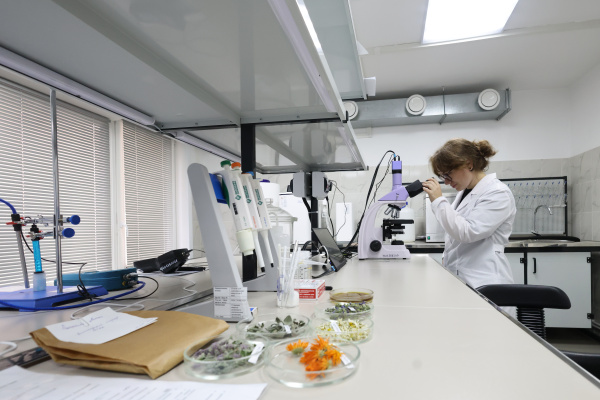 Бурятская ГСХА запускает программу ДПО по лекарственному растениеводству