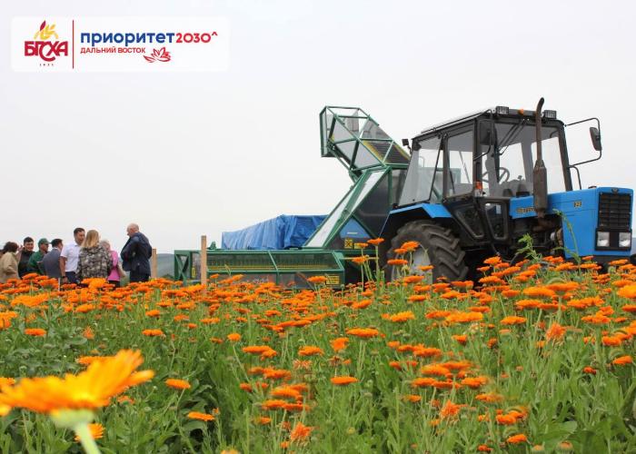 Агротехнологии возделывания лекарственных растений обсуждают учёные в Бурятии